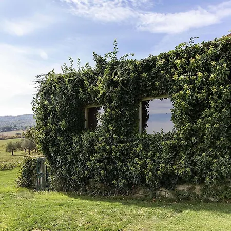 - Viola Villa