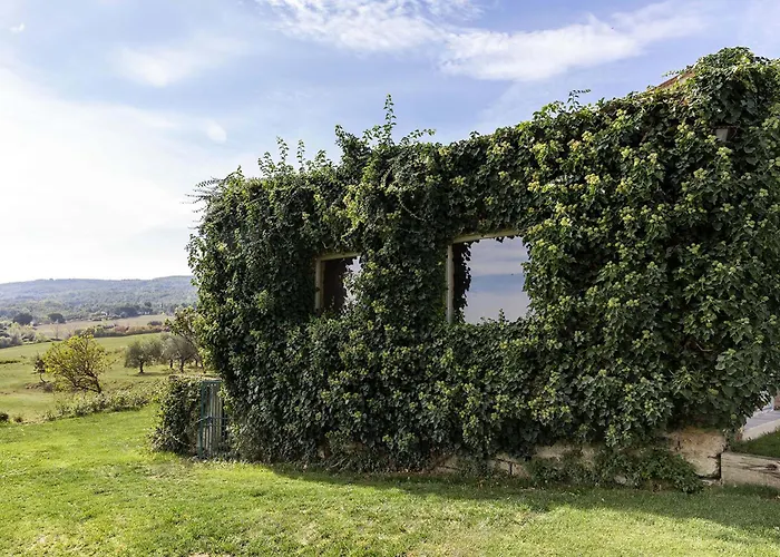 - Viola Villa
